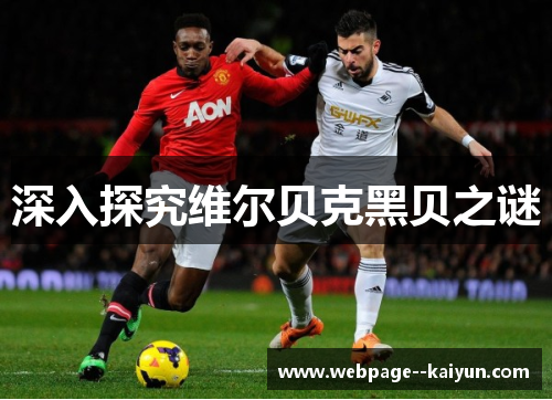 深入探究维尔贝克黑贝之谜