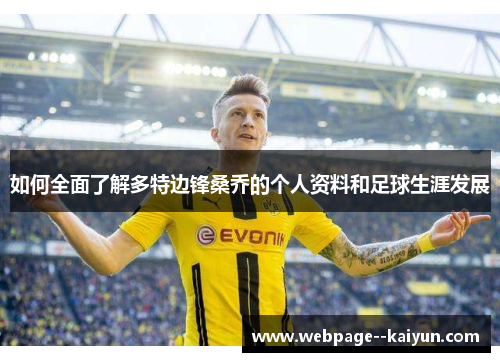 如何全面了解多特边锋桑乔的个人资料和足球生涯发展 如何全面了解多特边锋桑乔的个人资料和足球生涯发展