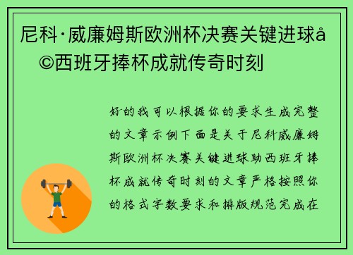 尼科·威廉姆斯欧洲杯决赛关键进球助西班牙捧杯成就传奇时刻